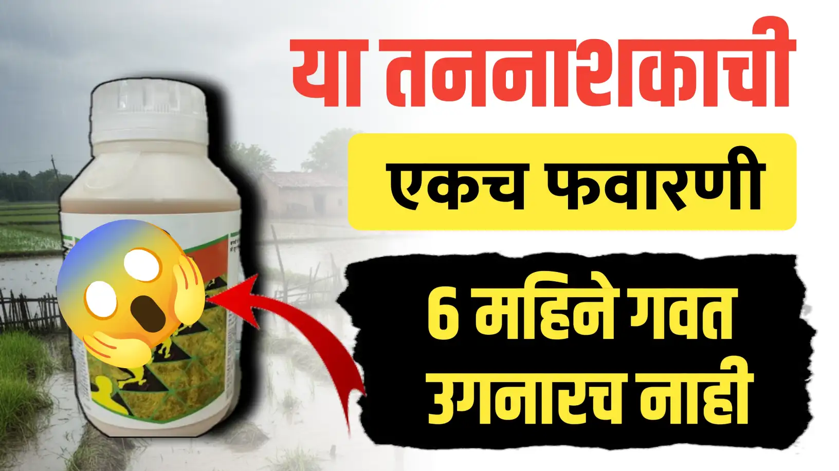 या तननाशकाने