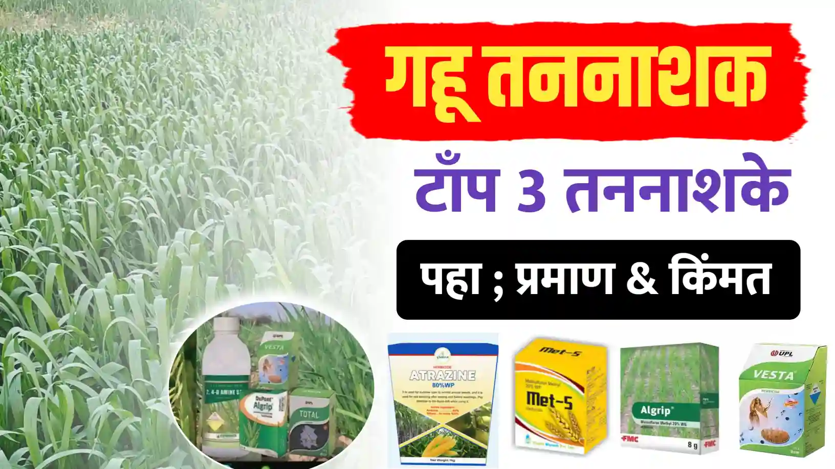 गहू तननाशक