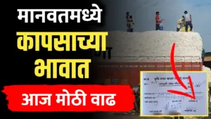 मानवतमध्ये कापसाच्या भावात मोठी वाढ, भाव 7500 पार