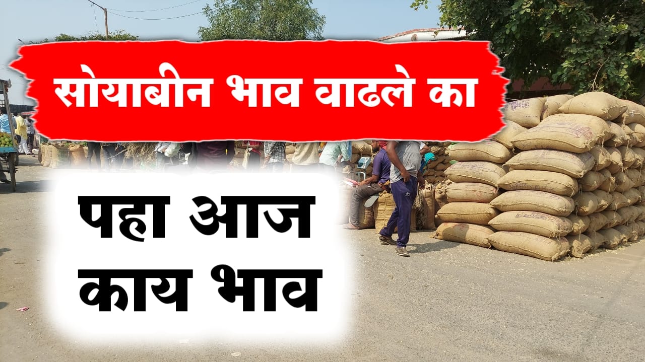 सोयाबीन भाव मोठी वाढ
